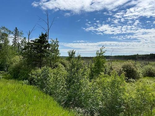 235 Pth 10 Highway, Onanole, MB 