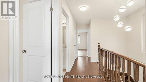 1168 Drawstring Lane, Pickering, ON 