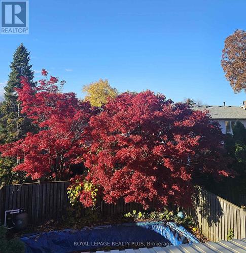 4170 Treetop Crescent, Mississauga, ON 