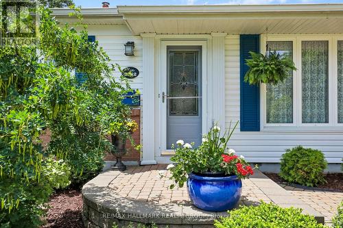 3242 Albion Road S, Ottawa, ON 