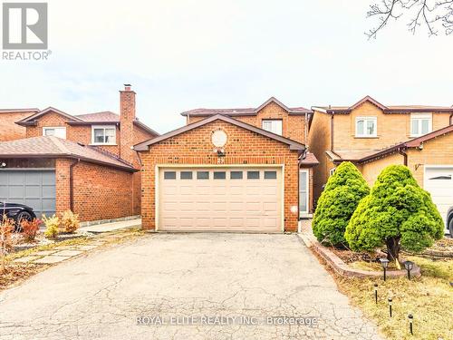 Basement - 29 Ashmore Crescent, Markham, ON 