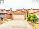 Basement - 29 Ashmore Crescent, Markham, ON 