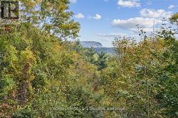 7095 GUELPH LINE  Milton, ON L0P 1B0