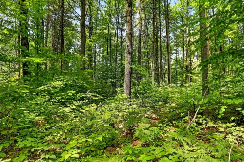 Terre/Terrain - 87 Rg St-François, Lanoraie, QC - Outdoor