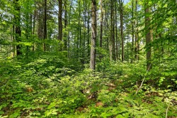 Terre/Terrain - 
