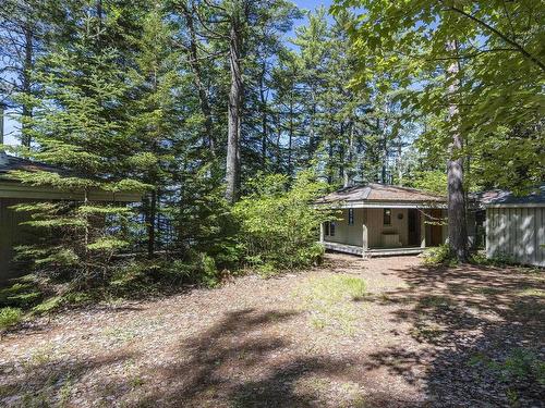 207 Middle Fork Road, Sherbrooke Lake, NS 