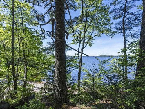 207 Middle Fork Road, Sherbrooke Lake, NS 