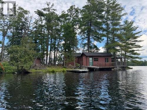 16 IS 12 CORDOVA LK ISLAND  Havelock-Belmont-Methuen (Belmont-Methuen), ON K0L 1Z0