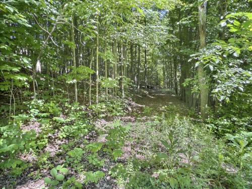 Terre/Terrain - Ch. Denis, Cantley, QC 