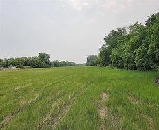 0 HIGHWAY 9 HWY  St Andrews, MB R1A 3B6