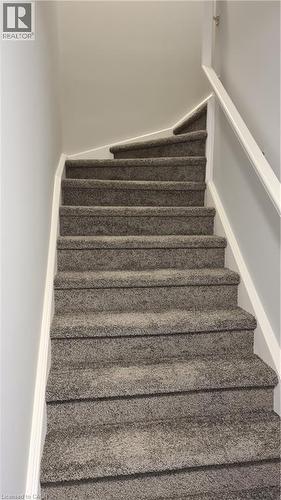 Carpeted staircase featuring a white handrail and baseboards, set against light gray walls - 42 Wheat Lane Unit# 42, Kitchener, ON 