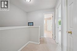 Carpeted hallway featuring light gray walls, white trim, and multiple doorways - 