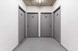 Shed - 