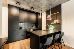 311-3045 Boul. de l'Assomption  Montréal (Mercier/Hochelaga-Maisonneuve), QC H1N 0E5