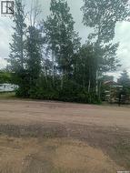 105 Irene ROAD Lucien Lake, SK S0K 2X0
