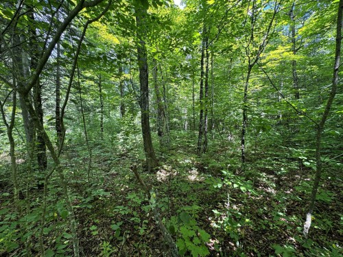 Lot - Ch. Nason, Harrington, QC 