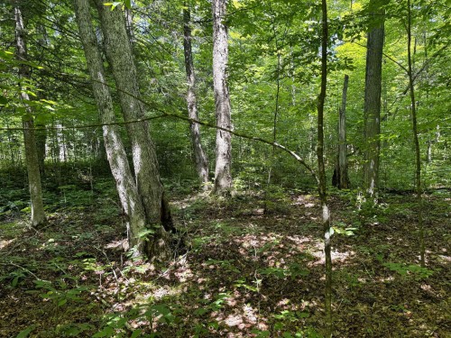 Lot - Ch. Nason, Harrington, QC 