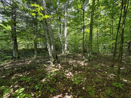 Lot - Ch. Nason, Harrington, QC 