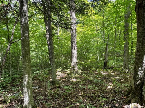 Lot - Ch. Nason, Harrington, QC 