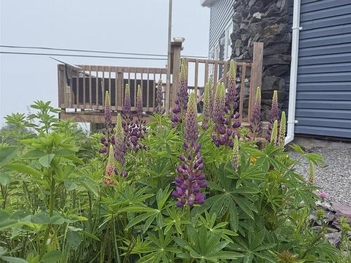 1 Dick Giffins Hill, Goldboro, NS 