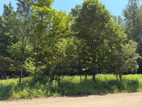 Lot - Ch. Des Saules, Nominingue, QC 