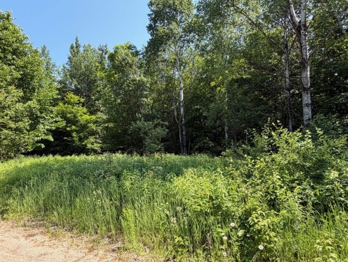 Lot - Ch. Des Saules, Nominingue, QC 