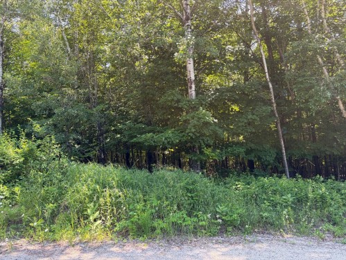 Lot - Ch. Des Saules, Nominingue, QC 