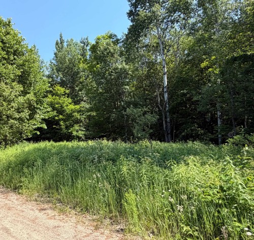 Lot - Ch. Des Saules, Nominingue, QC 
