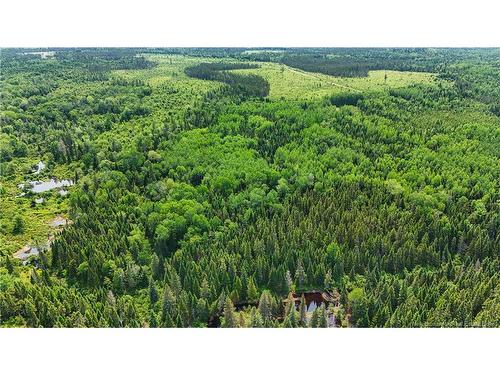 - Route 425, Exmoor, NB 