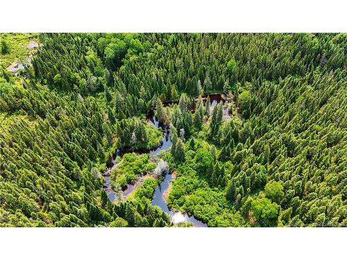 - Route 425, Exmoor, NB 