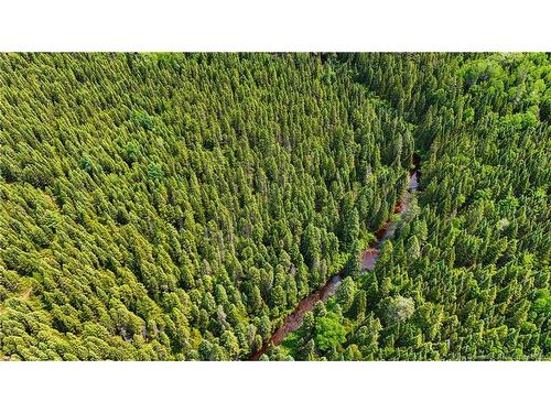 - Route 425, Exmoor, NB 