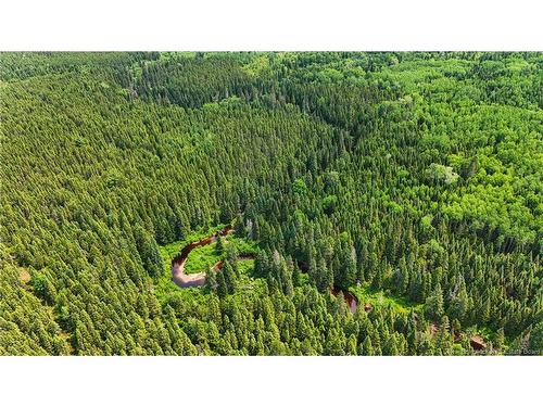 - Route 425, Exmoor, NB 