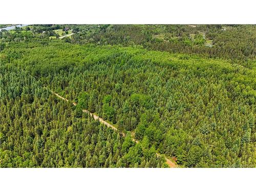 - Route 425, Exmoor, NB 