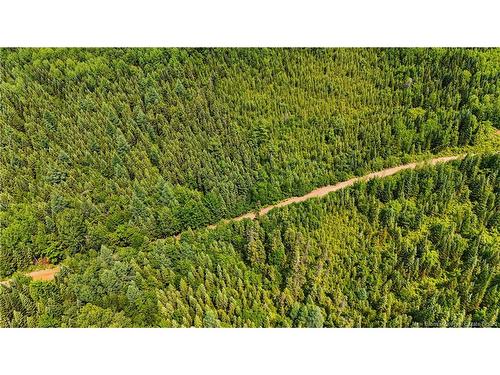 - Route 425, Exmoor, NB 