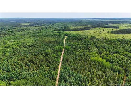 - Route 425, Exmoor, NB 