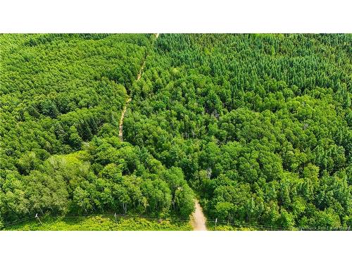 - Route 425, Exmoor, NB 