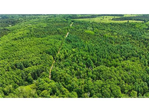 - Route 425, Exmoor, NB 
