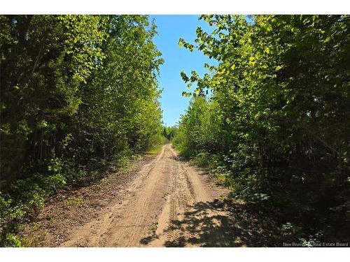 - Route 425, Exmoor, NB 
