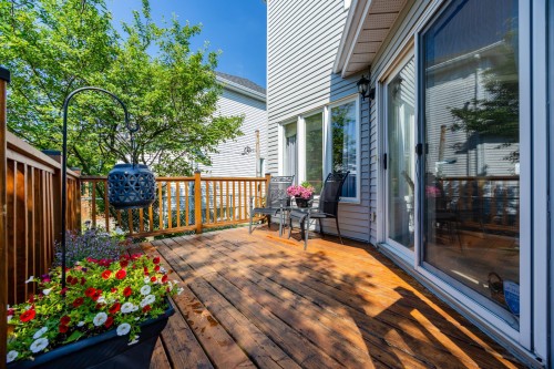 Cour - 288 Av. Jaillet, Pointe-Claire, QC 