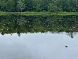 117 Shore Road Walden, NS B0J 2E0