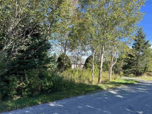 35 Rainbow Haven Drive, Cow Bay, NS 