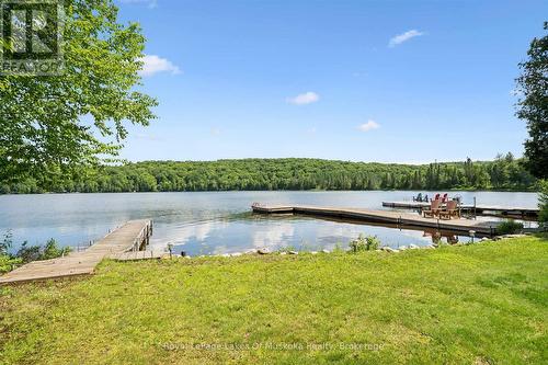 Level lakefront area - 44 Hillcrest Lane, Perry, ON 