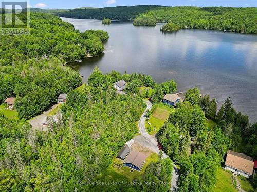 Aerial - 44 Hillcrest Lane, Perry, ON 