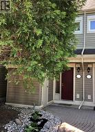 6 - 466 OXBOW CRESCENT  Collingwood, ON L9Y 5B4