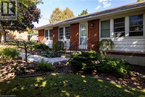 Expansive verdant lawn surrounded by mature trees and varied shrubbery - 156 Mutual Street N, Ingersoll, ON 