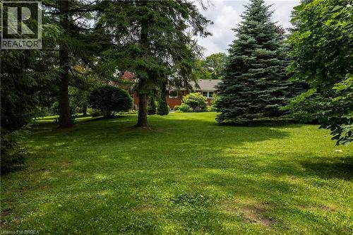 Expansive backyard featuring a manicured lawn, established landscaping, mature trees, and a brick exterior with a rear door entry - 156 Mutual Street N, Ingersoll, ON 