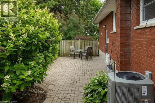 Expansive green lawn surrounded by mature trees, including tall evergreens and deciduous varieties - 156 Mutual Street N, Ingersoll, ON 