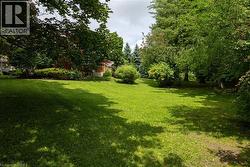 Expansive verdant lawn surrounded by mature trees and varied shrubbery - 