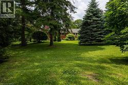 Expansive lawn area featuring mature evergreen trees and dappled sunlight - 