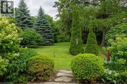 Expansive green lawn surrounded by mature trees, including tall evergreens and deciduous varieties - 